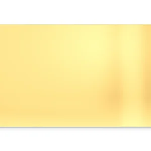 Tapit Digital Business Card | 24k Gold Plated NFC Digital Business Card | Mirror Finish